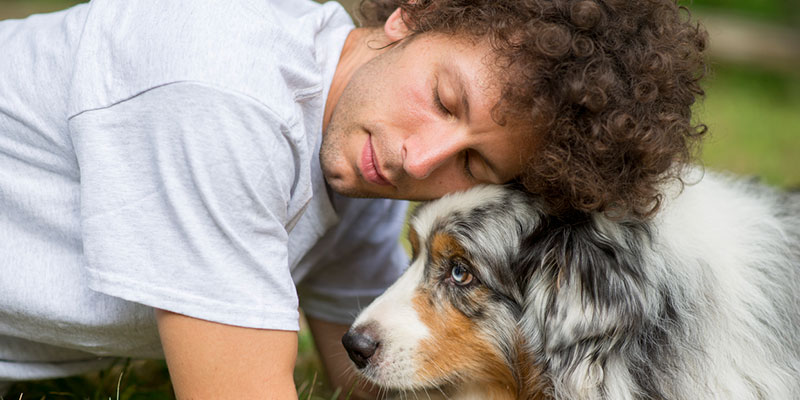 3 Ideas for Loving Pet Loss Services 