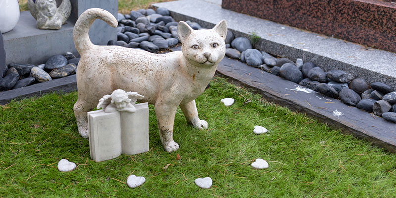 Why Using a Pet Cemetery is a Good Idea