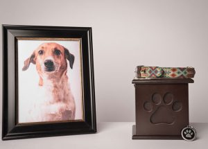 Five Pet Memorial Gifts to Remember Your Beloved Companion