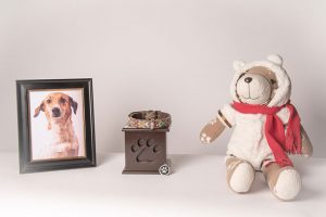 The Importance of Pet Memorial Services
