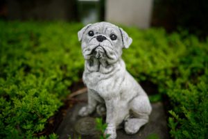 Why a Pet Cemetery Is a Good Final Resting Place